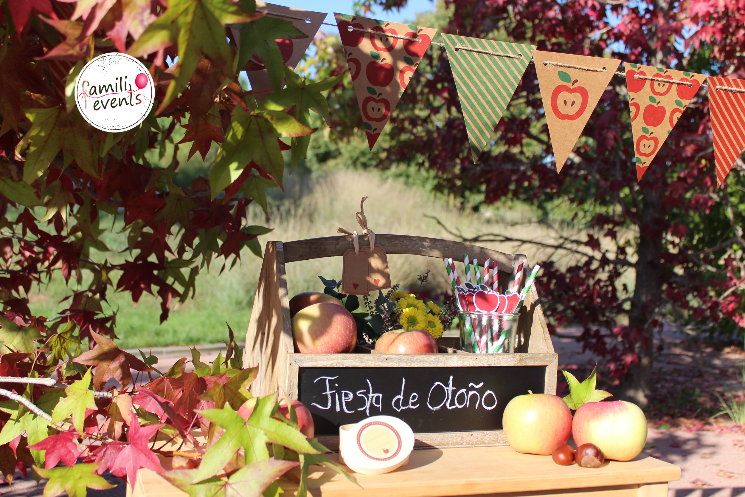 Decoraci&oacute;n para tu fiesta de oto&ntilde;o